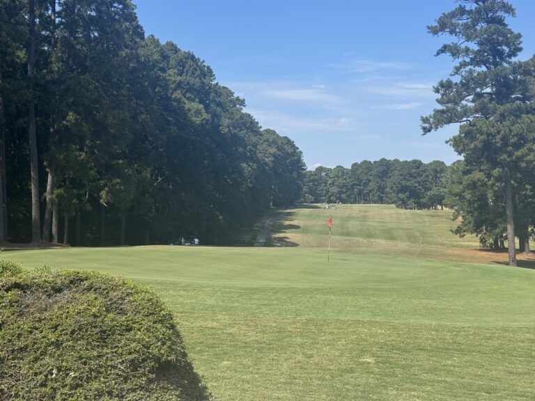 tempImagePTkn5F 768x576