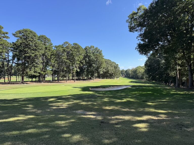 tempImagekTDh3R 768x576