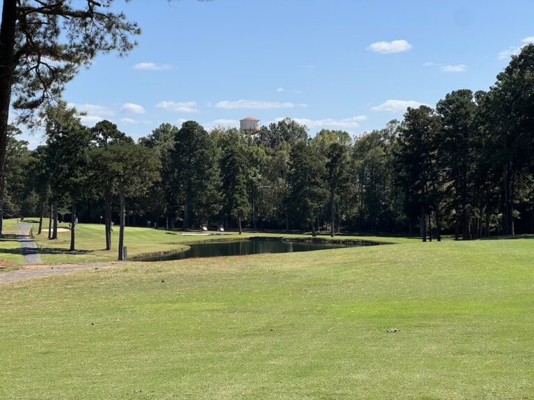 tempImagesVm1Km 768x576